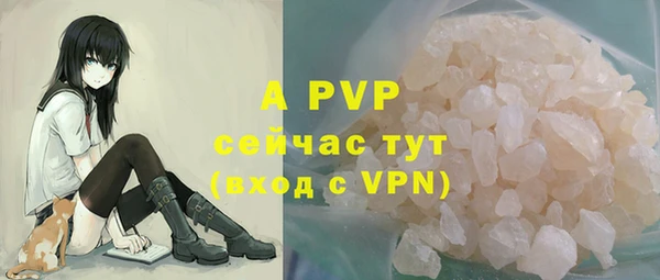 первитин Инта