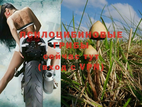 первитин Инта