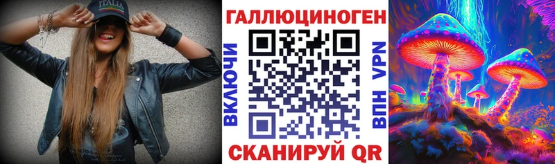 Купить  Ейск  Псилоцибиновые грибы мицелий 