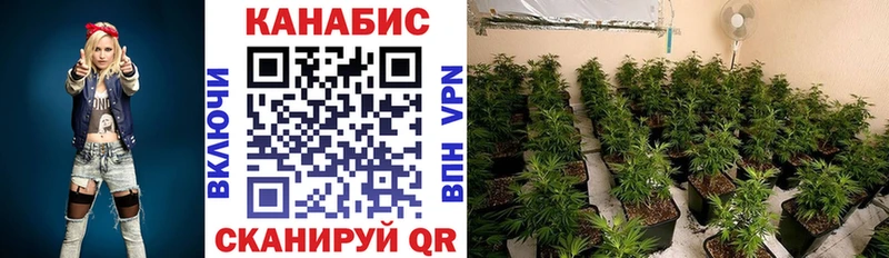 Купить где  Ейск  Каннабис планчик 
